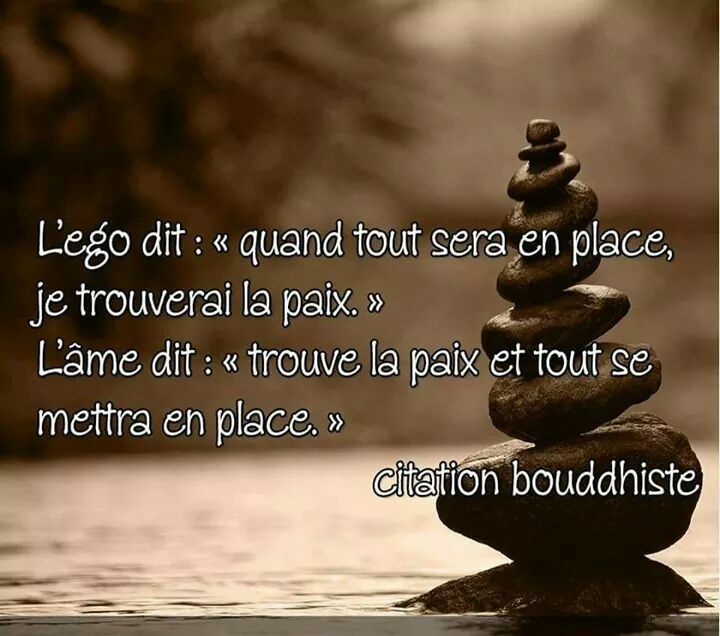Citation-quiz : douleur ou souffrance (proverbe bouddhiste ?)