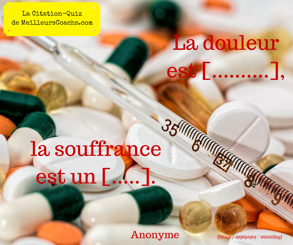 Citation-quiz : douleur ou souffrance (proverbe bouddhiste ?)