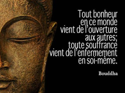 Citation-quiz : douleur ou souffrance (proverbe bouddhiste ?)