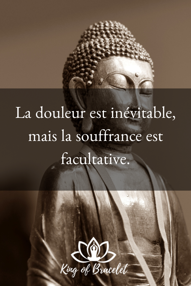 Citation-quiz : douleur ou souffrance (proverbe bouddhiste ?)