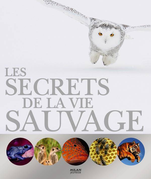 Le secret des Pourquoi et des Comment !
