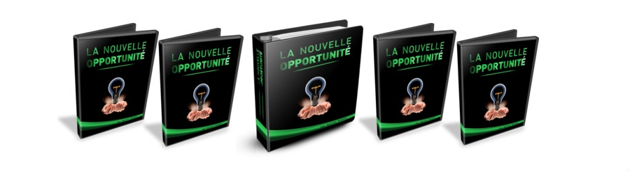 Les Nouvelles Opportunités, de Sylvain Wealth