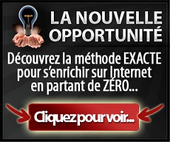 Les Nouvelles Opportunités, de Sylvain Wealth