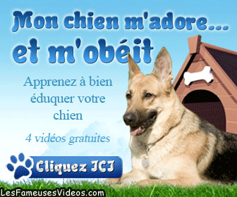MON CHIEN M'ADORE... ET M'OBEIT