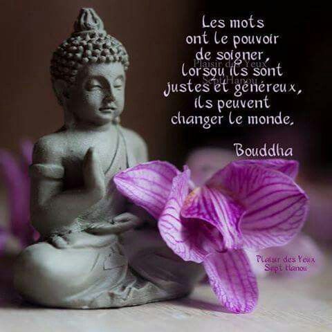 Citation-quiz : douleur ou souffrance (proverbe bouddhiste ?)