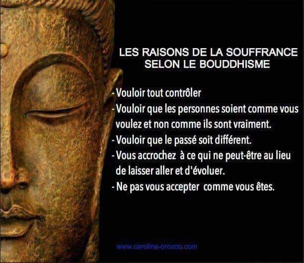 Citation-quiz : douleur ou souffrance (proverbe bouddhiste ?)
