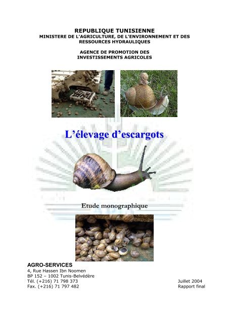 L’escargot à coquille carrée : quand la différence est une force
