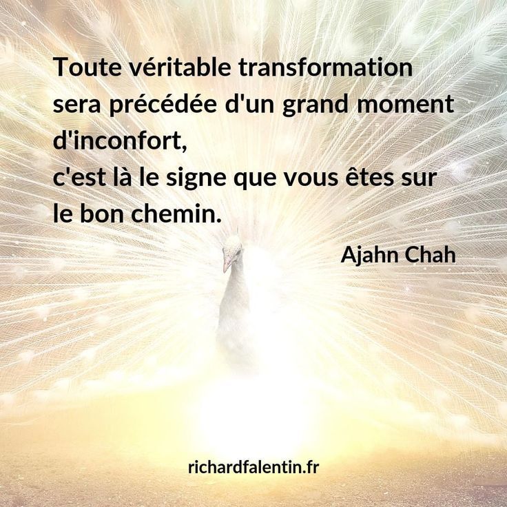 Quiz : citations inspirantes et phrases de motivation